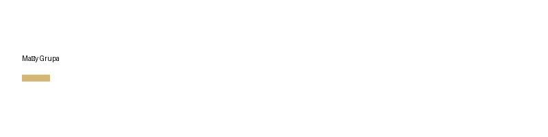 Pelvano Doradztwo logo
